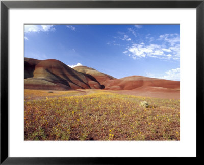 Painted Hills With Bee Plant, Painted Hills National Monument, Oregon, Usa by Terry Eggers Pricing Limited Edition Print image