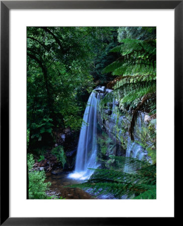 Russell Falls With Ferns In Foreground, Mt. Field National Park, Australia by John Banagan Pricing Limited Edition Print image