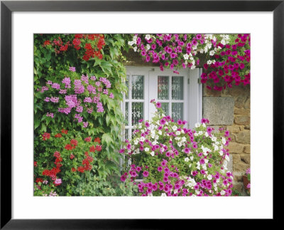 Farmhouse Window Surrounded By Flowers, Lile-Et-Vilaine Near Combourg, Brittany, France, Europe by Ruth Tomlinson Pricing Limited Edition Print image