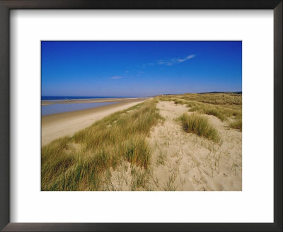 Dunes At Hardelot Plage, Near Boulogne, Pas-De-Calais, France, Europe by David Hughes Pricing Limited Edition Print image