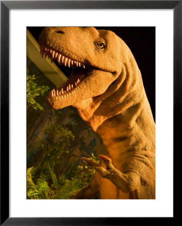 Royal Tyrrell Museum Of Palaeontology, Drumheller, Alberta, Canada by Walter Bibikow Pricing Limited Edition Print image