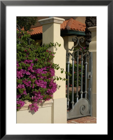 Gate To Private Home, Aruba, Caribbean by Lisa S. Engelbrecht Pricing Limited Edition Print image