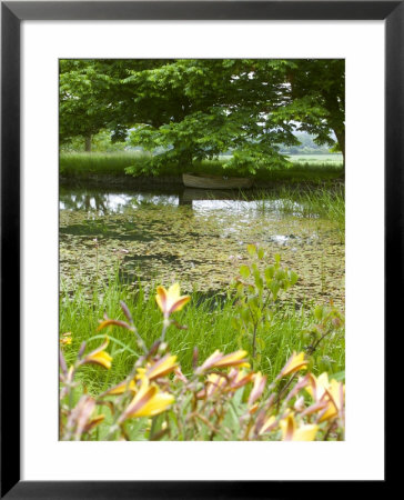 Boat In The Shade Of A Tree With Hemerocallis In The Foreground, Worcester by Mark Bolton Pricing Limited Edition Print image