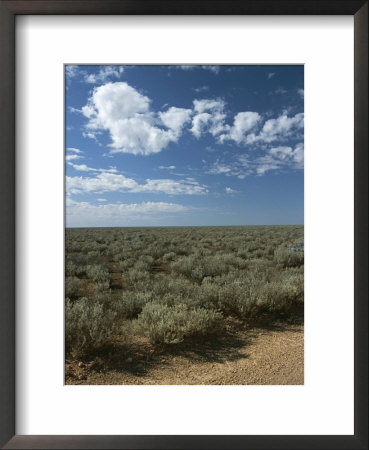 View Of The Outback by Nicole Duplaix Pricing Limited Edition Print image