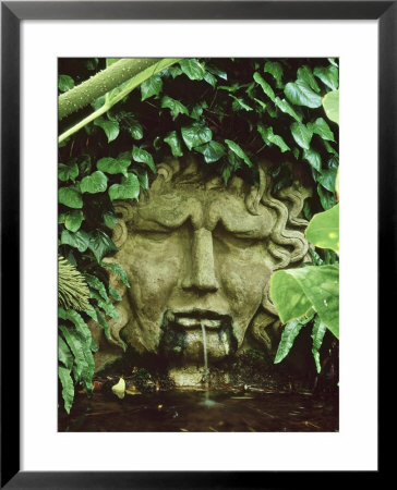 Waterspout,Mask Of Apollo Hedera Colchica, Gunnera Myles Challis Garden,East London by Clive Boursnell Pricing Limited Edition Print image