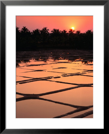 Sunset Over Rice Paddies, Goa, India by John Pennock Pricing Limited Edition Print image