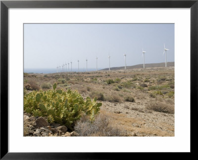Wind Farm In Southern Tenerife, With Prickly Pear Cactus (Opuntia) In Foreground by Martin Page Pricing Limited Edition Print image