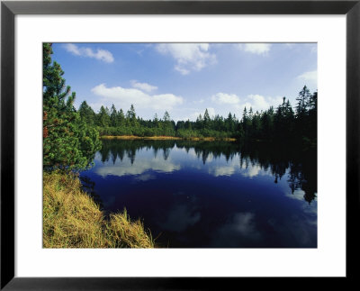 Lake View With Reflection Of Sky, Bayerischer Wald National Park by Norbert Rosing Pricing Limited Edition Print image