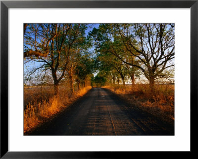 A Corrugated Dirt Road Through Farm Land In The Western District, Noorat, Victoria, Australia by John Hay Pricing Limited Edition Print image