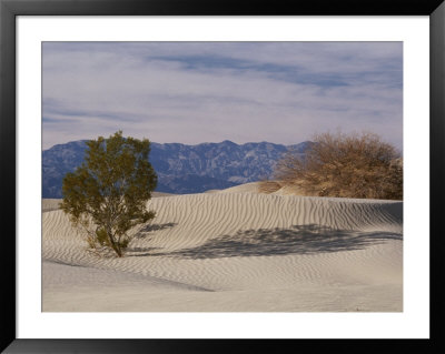 Sand Dunes In Death Valley National Monument by Marc Moritsch Pricing Limited Edition Print image