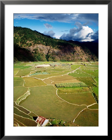 Rice Paddies, Aguid, Philippines by Pershouse Craig Pricing Limited Edition Print image
