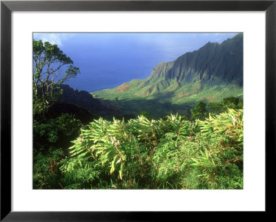 Waimea Canyon Called The Grand Canyon Of The Pacific Island Of Kauai by Daniel Cox Pricing Limited Edition Print image