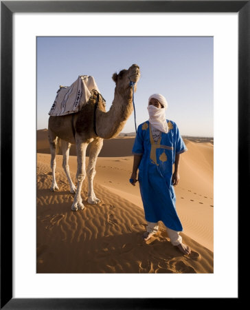 Berber Man Standing With His Camel, Erg Chebbi, Sahara Desert, Merzouga, Morocco, North Africa by Gavin Hellier Pricing Limited Edition Print image