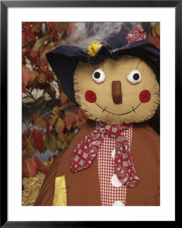 Stuffed Scarecrow On Display At Halloween, Washington, Usa by John & Lisa Merrill Pricing Limited Edition Print image