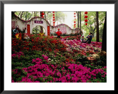 Flowers At Tiger Hill (Hu Qiu), Suzhou, Jiangsu, China by Diana Mayfield Pricing Limited Edition Print image