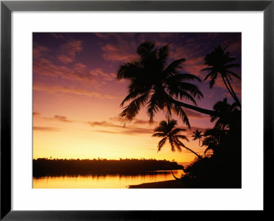 Coconut Palms Over Aitutaki Lagoon, Aitutaki, Southern Group, Cook Islands by John Banagan Pricing Limited Edition Print image