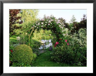 View Of Pond Through Timber Arch Covered With Rosa Francis E. Lester New Barn by Sunniva Harte Pricing Limited Edition Print image