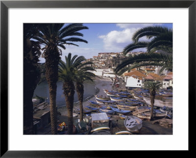 Camara De Lobos, Madeira, Portugal, Europe by Jennifer Fry Pricing Limited Edition Print image