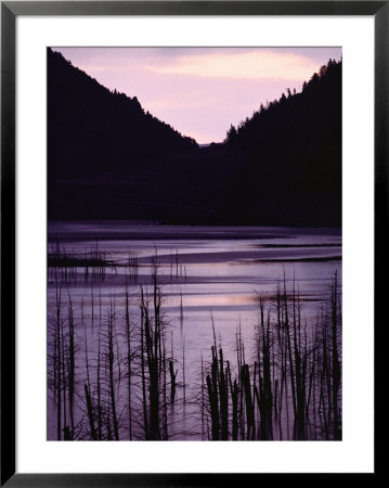 Earthquake Lake, Madison River Quake Area, Gallatin National Forest by Raymond Gehman Pricing Limited Edition Print image