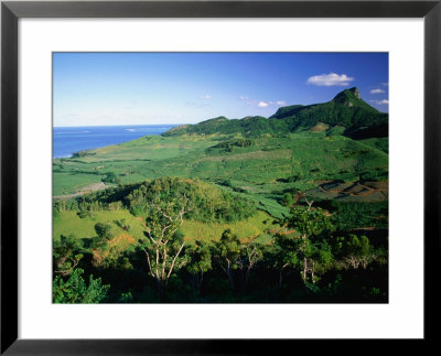Tea Plantations, Mauritius by John Hay Pricing Limited Edition Print image