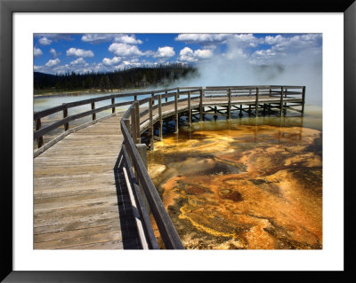 Boardwalk And Bacteria Mat, Black Sand Basin In Yellowstone, Wyoming, Usa by Carol Polich Pricing Limited Edition Print image