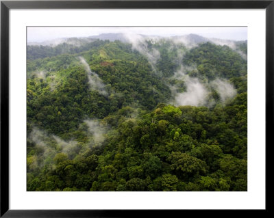 Aerial View Of Rainforest With Clouds, Costa Rica by Roy Toft Pricing Limited Edition Print image