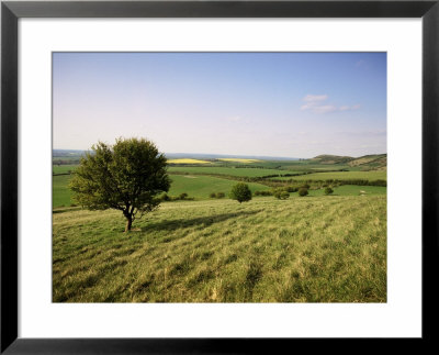Ivinghoe Beacon From The Ridgeway Path, Chiltern Hills, Buckinghamshire, England by David Hughes Pricing Limited Edition Print image