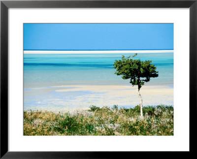 Waters Of Lagoon Of Detwah, Yemen by Frances Linzee Gordon Pricing Limited Edition Print image