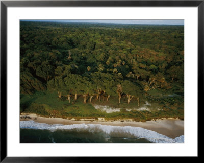 An Aerial View Of The Beach Where Mike Fay Ended His Megatransect by Michael Nichols Pricing Limited Edition Print image