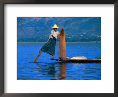 Intha Fisherman Tending To Nets And Rowing, Inle Lake, Shan State, Myanmar (Burma) by Anders Blomqvist Pricing Limited Edition Print image