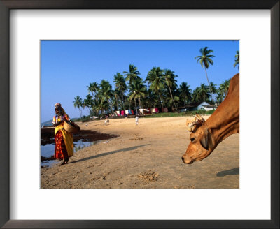 Woman And Cow On Beach, Anjuna Flea Market, Anjuna, India by Peter Ptschelinzew Pricing Limited Edition Print image