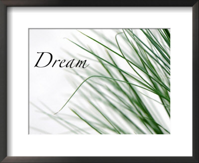 Dream: Reeds by Nicole Katano Pricing Limited Edition Print image