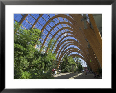 Millennium Winter Gardens, Sheffield, Yorkshire, England, United Kingdom by Neale Clarke Pricing Limited Edition Print image