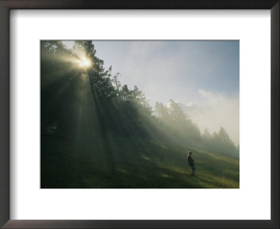 A Boy Walks Down A Hill In Banff National Park by Raymond Gehman Pricing Limited Edition Print image