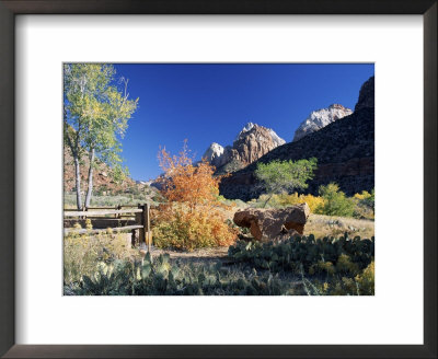 View From Visitor Centre To Peaks Above Zion Canyon In Autumn, Zion National Park, Utah, Usa by Ruth Tomlinson Pricing Limited Edition Print image
