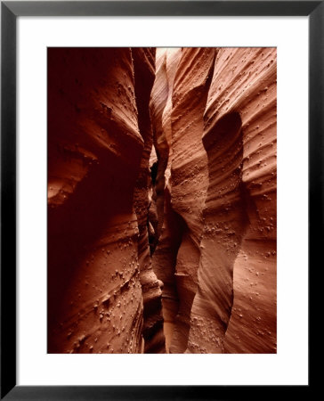 Slot Canyon Of Spooky Gulch, Grand Staircase-Escalante National Monument, Utah, Usa by Karl Lehmann Pricing Limited Edition Print image