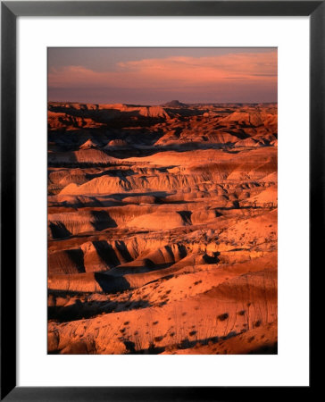 Little Painted Desert County Park, Usa by Mark Newman Pricing Limited Edition Print image