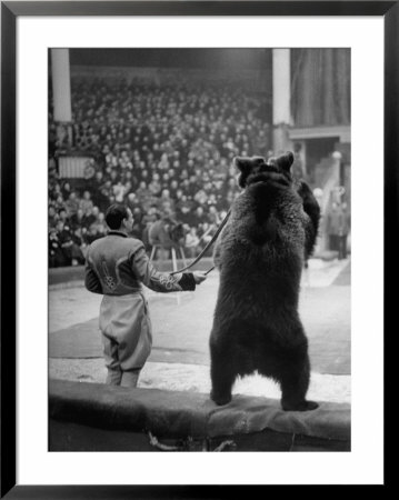 Dancing Bear At The Circus by Thomas D. Mcavoy Pricing Limited Edition Print image