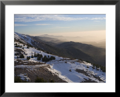 Shouf Cedar Nature Reserve, Lebanon Moutains, Lebanon by Ivan Vdovin Pricing Limited Edition Print image