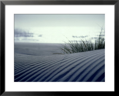 Sand Dune, New Zealand by Tobias Bernhard Pricing Limited Edition Print image