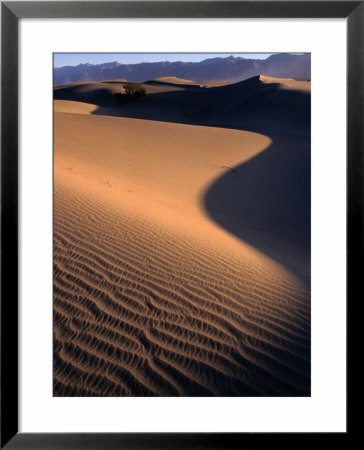 Stovepipe Wells, Sand Dunes, Death Valley National Park, California by John Elk Iii Pricing Limited Edition Print image