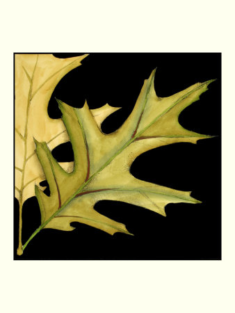 Tandem Leaves Iii by Jennifer Goldberger Pricing Limited Edition Print image