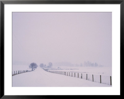 Wood And Wire Fences Running Across A Snowy Field by Kenneth Garrett Pricing Limited Edition Print image