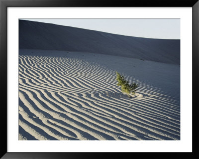 Sand Dunes by Marc Moritsch Pricing Limited Edition Print image
