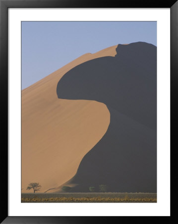 Giant Sand Dune Dwarfs The Desert Landscape by Nicole Duplaix Pricing Limited Edition Print image