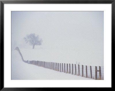 View Along A Wood And Wire Fence Running Across A Snowy Field by Kenneth Garrett Pricing Limited Edition Print image