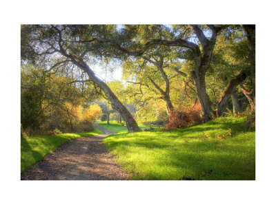 Fremont Older Trail by David Chmielewski Pricing Limited Edition Print image