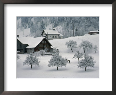 Switzerland, Winter Snow Scene In Alps Near Appenzell by Brimberg & Coulson Pricing Limited Edition Print image