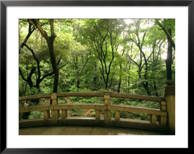Bridge And Garden At Yoyogi-Koen, Tokyo, Kanto, Japan by Greg Elms Pricing Limited Edition Print image