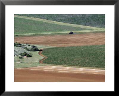 Fields Of Lavender, France by Alain Christof Pricing Limited Edition Print image